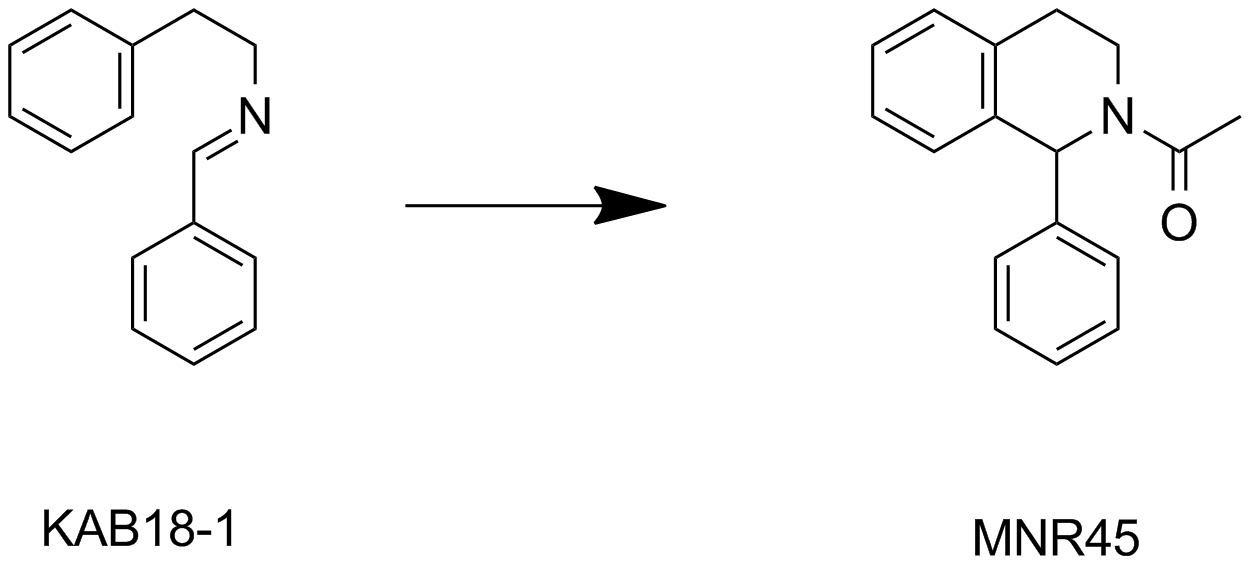 MNR45-1%20scheme.png